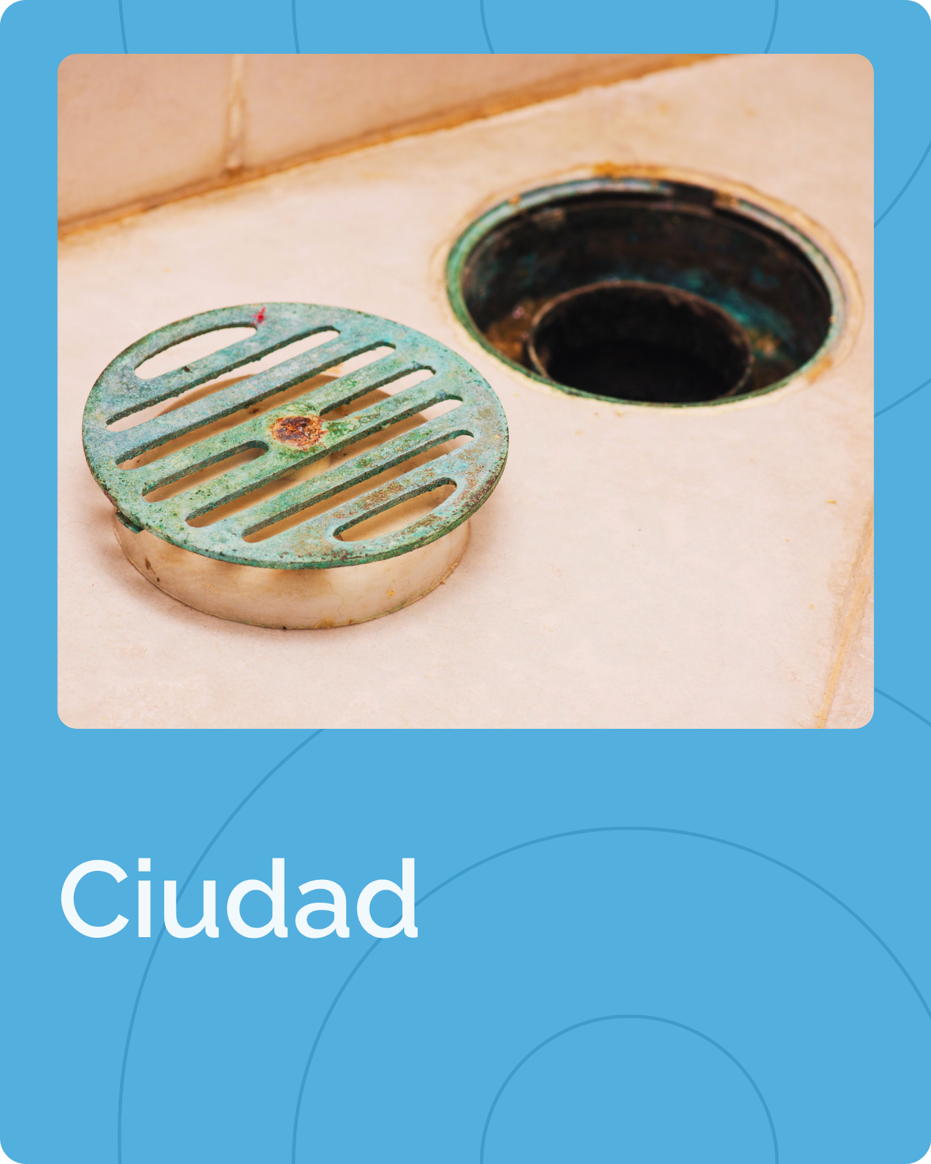 Ciudad, Casa y Departamento